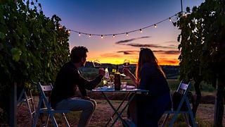 Degustazione al tramonto tra i filari della vigna