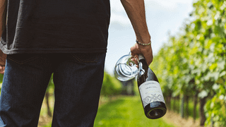 Essences of the Territory – A Tasting of Three Friuli Aquileia DOC Wines at Cantina Valpanera