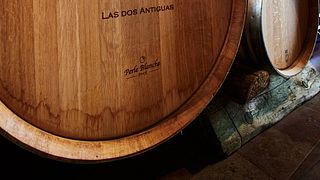 Weinprobe in Las dos Antiguas