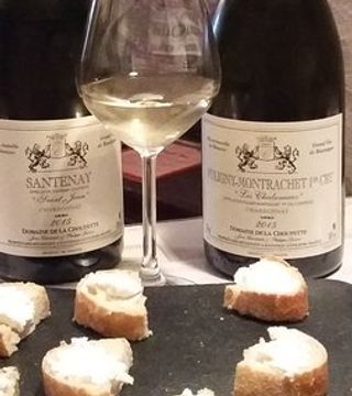Wine Tasting and Tour at Domaine de la Choupette