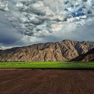 Una experiencia vacacional en Chañarmuyo Wine Lodge
