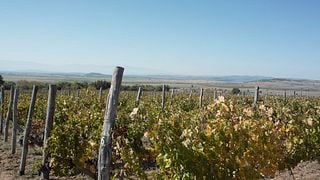 Thracian Valley Wine & Culture Escape at Rumelia