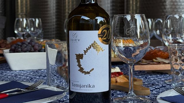 Degustazione di vini, Macedonia del Nord, Cantina Iliev