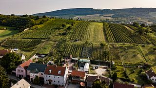 Csetvei Cellar