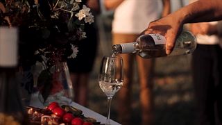 Dégustation et visite de vins populaires à Weinbau Rogl