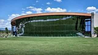 Visita exclusiva y degustación de Amarone añejo