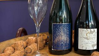 Champagne Pol Couronne: Taste 3 Exceptional Vintages