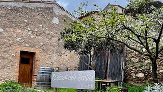Degustazione di vini all'ombra di un monastero romanico di 1000 anni