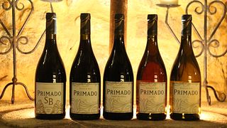 Tapas pairing with a tasting of five wines