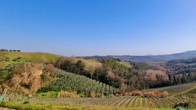 Tenuta Mercatili: A Family Tradition in Tuscany