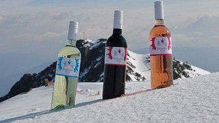 Weingut Steyrer