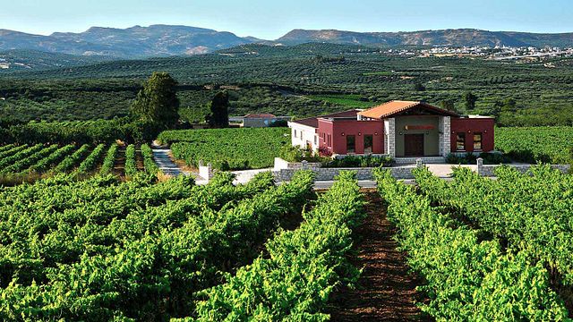A Experiência de Degustação de Vinhos Tradicionais
