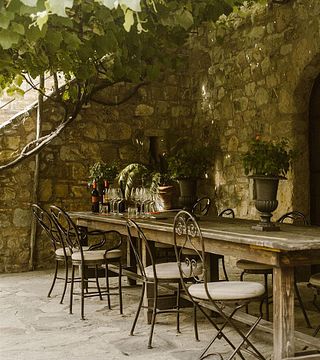 Tuscan Organic Wine & Vineyard Tour at Castello Di Vicarello