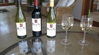 Degustazione di vini e tour presso Rusty Fig Wines