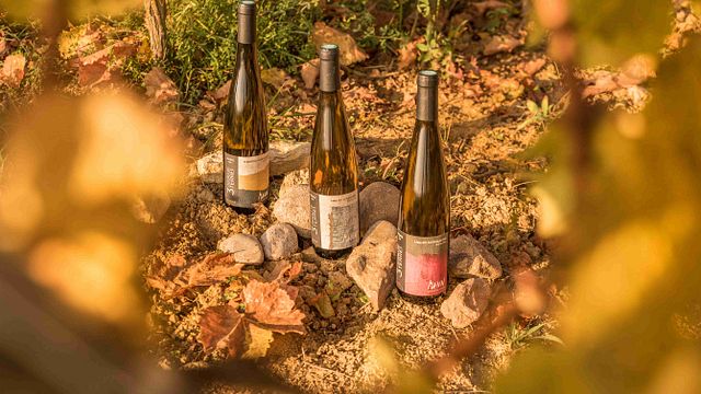 Domaine Mann - Vignoble Des 3 Terres