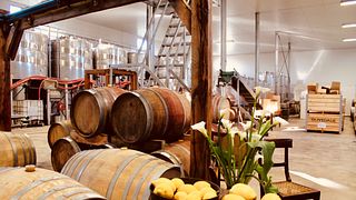 Degustazione intima di vini | Azienda vinicola Olivedale