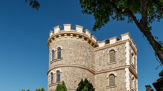 Chateau Cojusna
