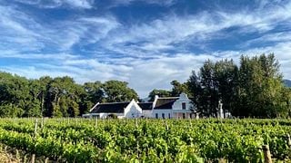 Holden Manz Wine Estate