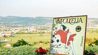 Degustação de Vini e Sapori em Valpolicella