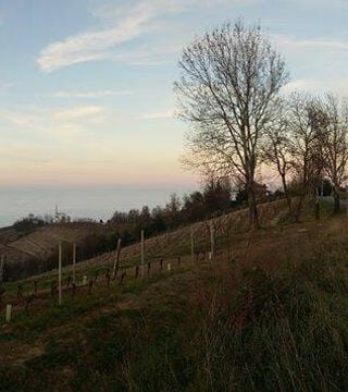 Dégustation de vins et visite à Isolabella Della Croce
