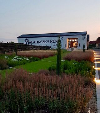 Degustazione di vini e tour presso la tenuta vinicola biologica Malatinszky Kúria