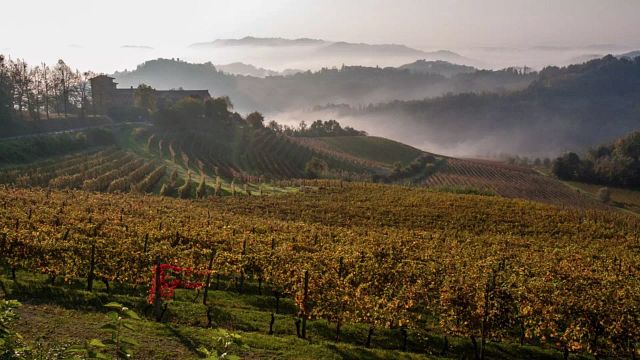 Il gusto del locale