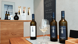 Cata de vinos y visita guiada en Weingut Doppler-Hertel