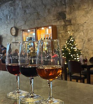 Dégustation de vins à Quinta da Boeira