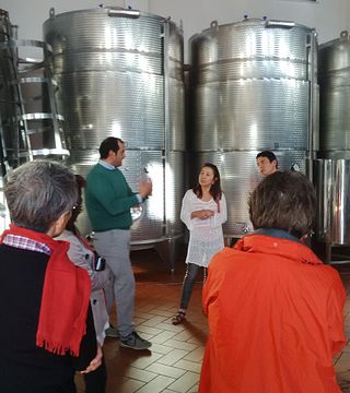 Dégustation de vins et visite chez Colacino Wines