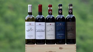 Wine & Food Experience
