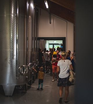 Kodas - A Unique Winery Experience in Southern Estonia