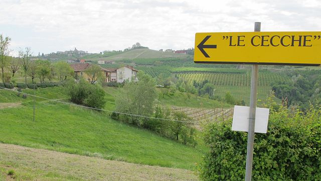 Weinprobe und Tour bei Le Cecche