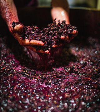 Margarethenhof - Weingut Weber