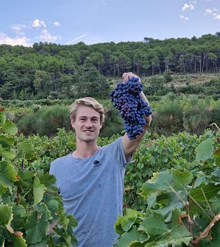 Degustação de vinhos e tour no Chateau Cohola