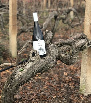 Tsikrikonis Winery