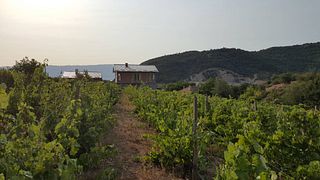 S&S Winery