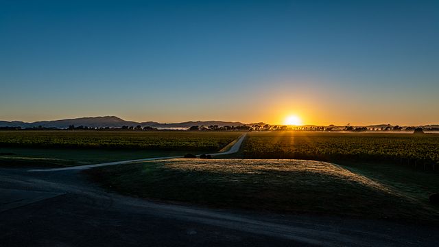 Matahiwi Estate Winery