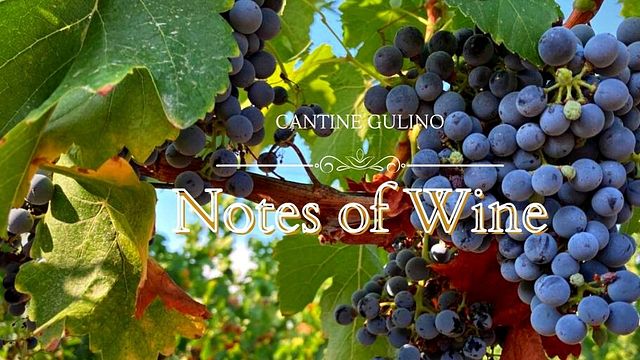 Appunti di Degustazione Vini alle Cantine Gulino