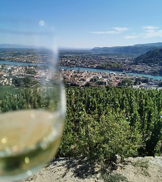 Northern Rhône Valley: Hermitage, Crozes-Hermitage, Cornas