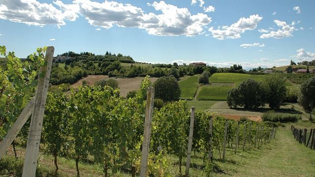 Dacapo Cà Ed Balos Winery