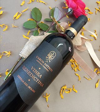 Taste Wines & Olive Oil from the Heart of Molise