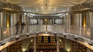 Bodega Salentein