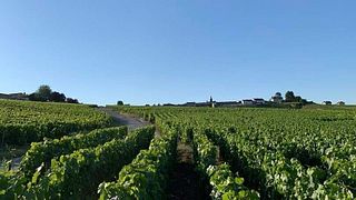 Wine Tasting and Tour at Champagne Philippe Glavier