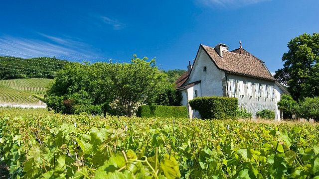 Formula 2 | Wine Tasting at Château de Luins