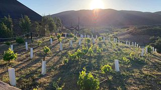 Experience Tranquility at Clos De Tres Cantos