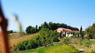 Dégustation de vins simple et visite à la Tenuta Ca' Sciampagne