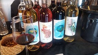 Degustação de vinhos