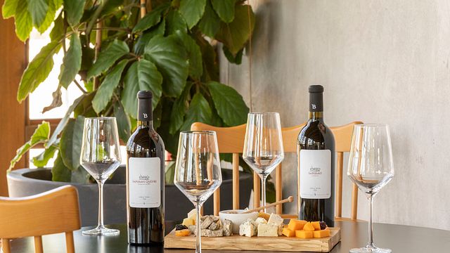 Degustação de vinhos populares e tour no Chateau Buera