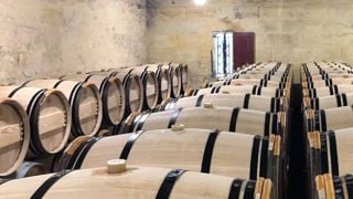 Tour und Verkostung: Vom Weinberg ins Glas, durch die Keller