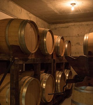 Nelion Winery